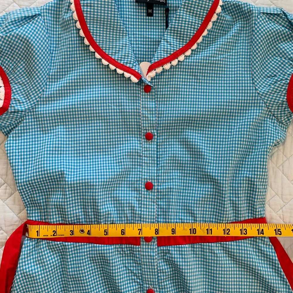 NWT Sourpuss Cherry Pie Gingham Diner Dress Medium - Picture 10 of 10